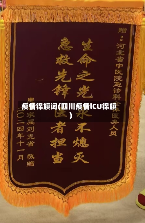 疫情锦旗词(四川疫情lCU锦旗)