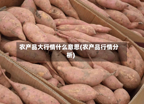 农产品大行情什么意思(农产品行情分析)-第2张图片