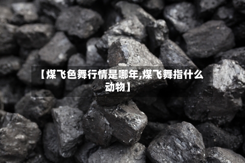【煤飞色舞行情是哪年,煤飞舞指什么动物】-第3张图片
