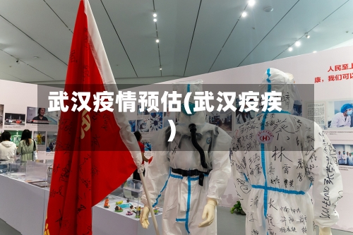 武汉疫情预估(武汉疫疾)