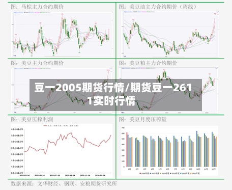 豆一2005期货行情/期货豆一2611实时行情-第3张图片
