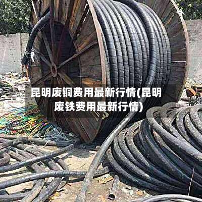 昆明废铜费用最新行情(昆明废铁费用最新行情)-第2张图片