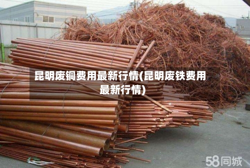昆明废铜费用最新行情(昆明废铁费用最新行情)