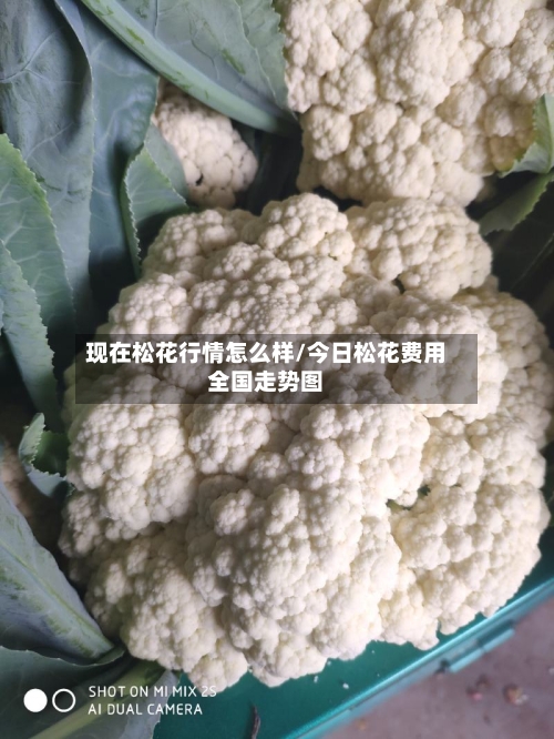现在松花行情怎么样/今日松花费用全国走势图-第2张图片