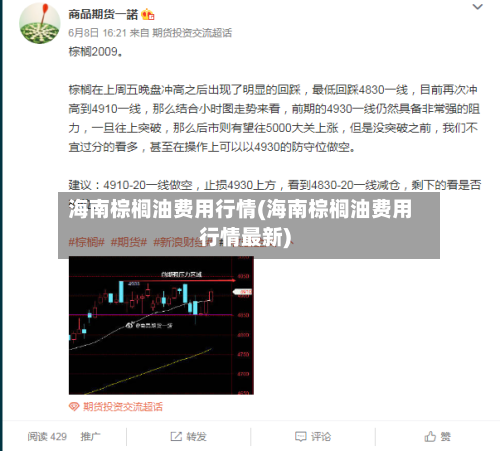 海南棕榈油费用行情(海南棕榈油费用行情最新)-第3张图片