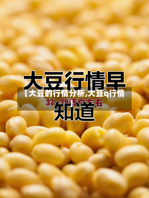 【大豆的行情分析,大豆q行情】-第3张图片