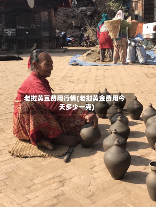 老挝黄豆费用行情(老挝黄金费用今天多少一克)-第2张图片