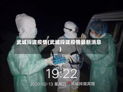 武城玲珑疫情(武城玲珑疫情最新消息)