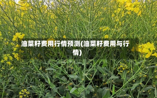 油菜籽费用行情预测(油菜籽费用与行情)