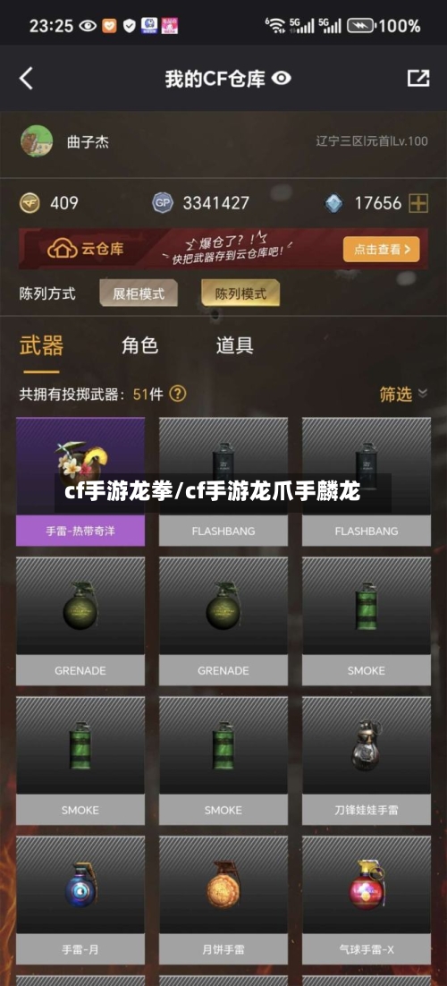 cf手游龙拳/cf手游龙爪手麟龙-第2张图片