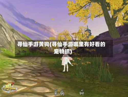 寻仙手游黄狗(寻仙手游哪里有好看的宠物抓)-第3张图片