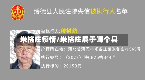 米格庄疫情/米格庄属于哪个县