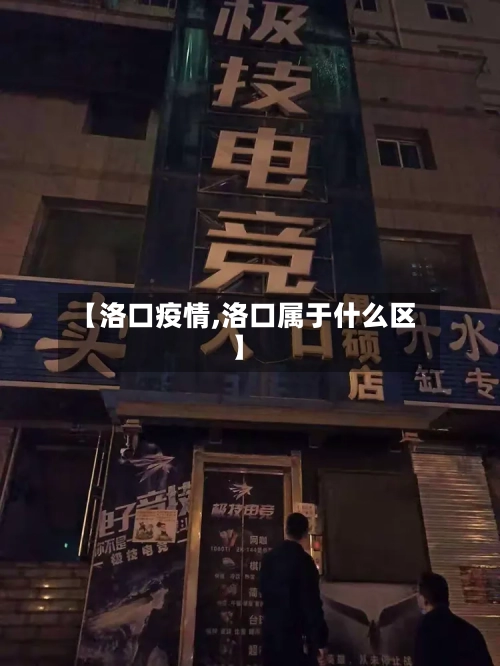 【洛口疫情,洛口属于什么区】