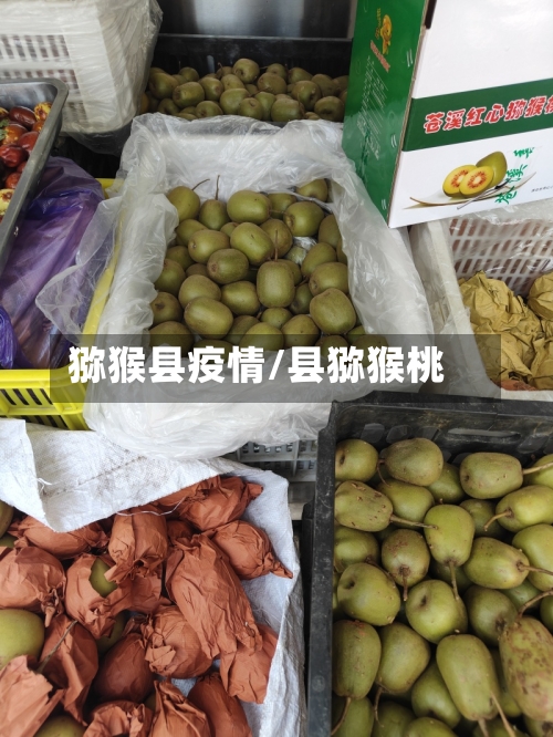猕猴县疫情/县猕猴桃