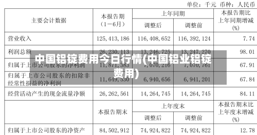 中国铝锭费用今日行情(中国铝业铝锭费用)-第2张图片