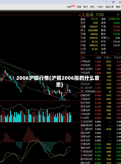 2006沪银行情(沪银2006指的什么意思)-第3张图片