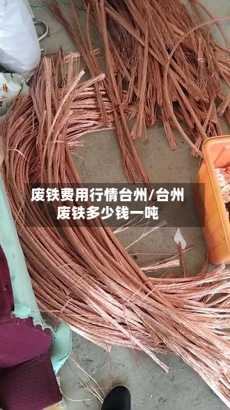 废铁费用行情台州/台州废铁多少钱一吨-第3张图片