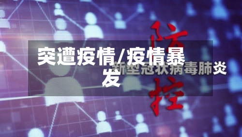 突遭疫情/疫情暴发-第3张图片