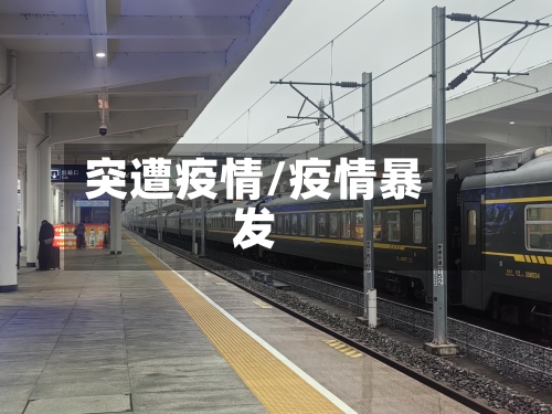突遭疫情/疫情暴发-第2张图片