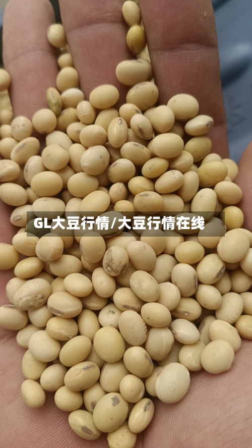 GL大豆行情/大豆行情在线