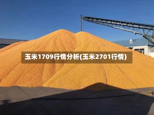 玉米1709行情分析(玉米2701行情)-第2张图片