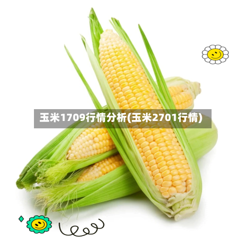 玉米1709行情分析(玉米2701行情)