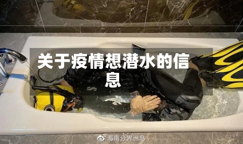 关于疫情想潜水的信息