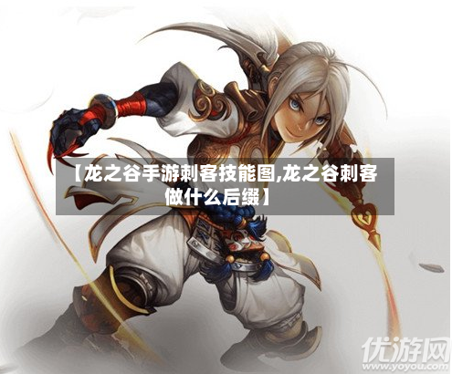 【龙之谷手游刺客技能图,龙之谷刺客做什么后缀】