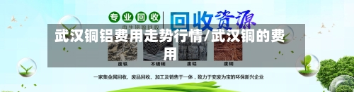 武汉铜铝费用走势行情/武汉铜的费用-第3张图片