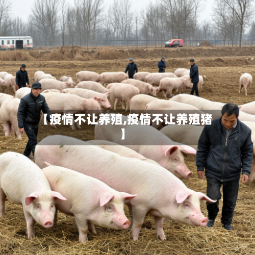 【疫情不让养殖,疫情不让养殖猪】