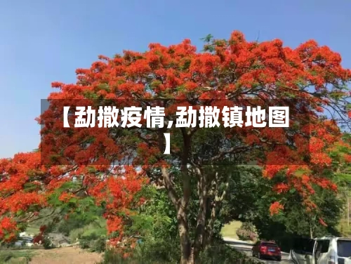 【勐撒疫情,勐撒镇地图】-第2张图片