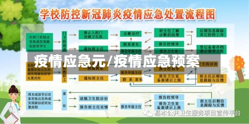 疫情应急元/疫情应急预案-第3张图片
