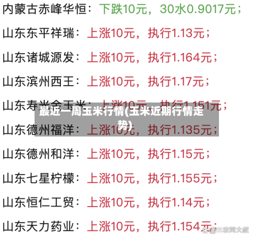 最近一周玉米行情(玉米近期行情走势)