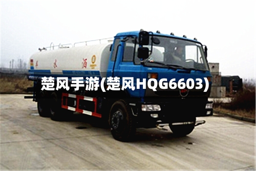 楚风手游(楚风HQG6603)-第3张图片