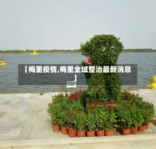 【梅里疫情,梅里全域整治最新消息】