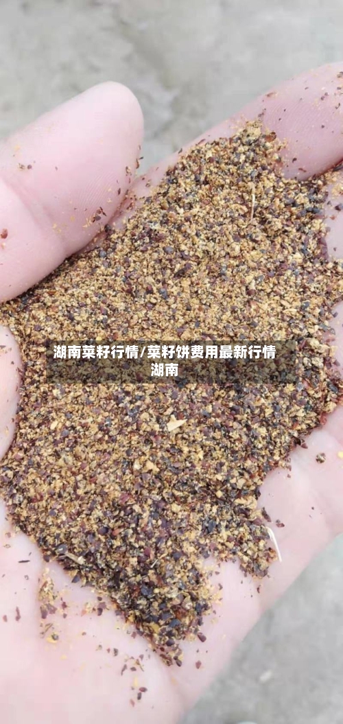 湖南菜籽行情/菜籽饼费用最新行情湖南-第3张图片