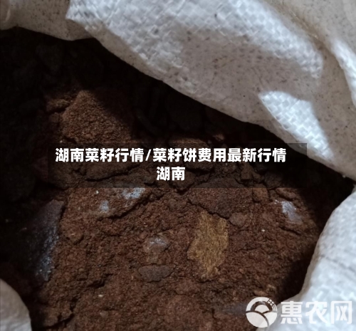 湖南菜籽行情/菜籽饼费用最新行情湖南