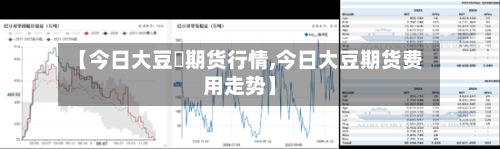 【今日大豆沖期货行情,今日大豆期货费用走势】