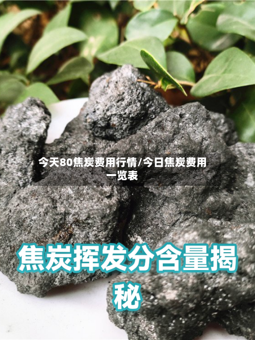 今天80焦炭费用行情/今日焦炭费用一览表-第3张图片