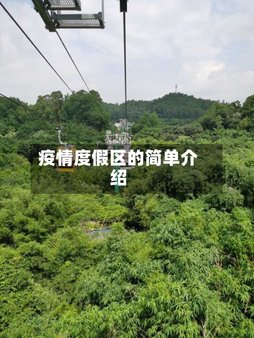 疫情度假区的简单介绍