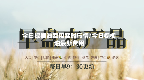 今日棕榈油费用实时行情/今日棕榈油最新费用-第2张图片