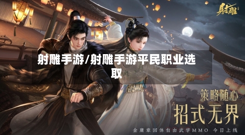 射雕手游/射雕手游平民职业选取