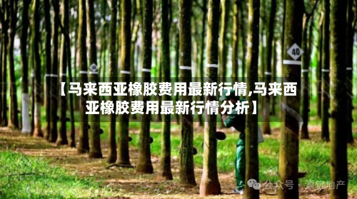 【马来西亚橡胶费用最新行情,马来西亚橡胶费用最新行情分析】