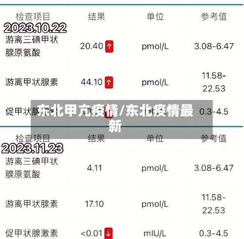 东北甲亢疫情/东北疫情最新