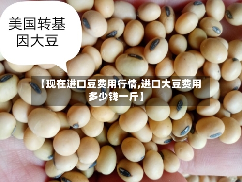 【现在进口豆费用行情,进口大豆费用多少钱一斤】-第2张图片