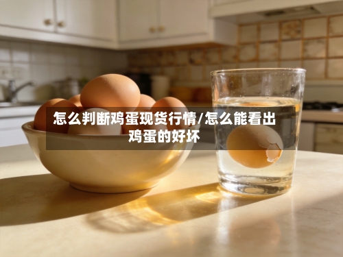 怎么判断鸡蛋现货行情/怎么能看出鸡蛋的好坏-第2张图片