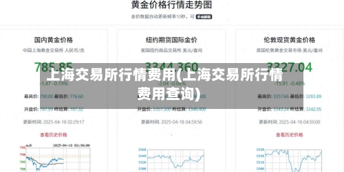 上海交易所行情费用(上海交易所行情费用查询)-第2张图片