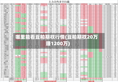 哪里能看豆粕期权行情(豆粕期权20万赚1200万)