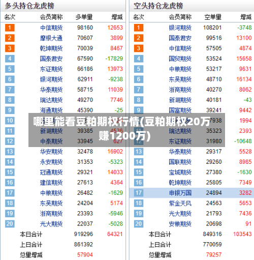 哪里能看豆粕期权行情(豆粕期权20万赚1200万)-第2张图片