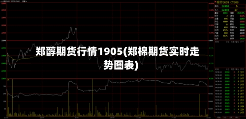 郑醇期货行情1905(郑棉期货实时走势图表)